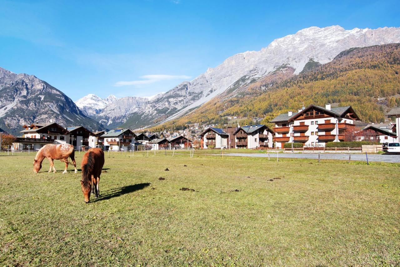 Olympic Chalet 11 Apartment Bormio Exterior photo